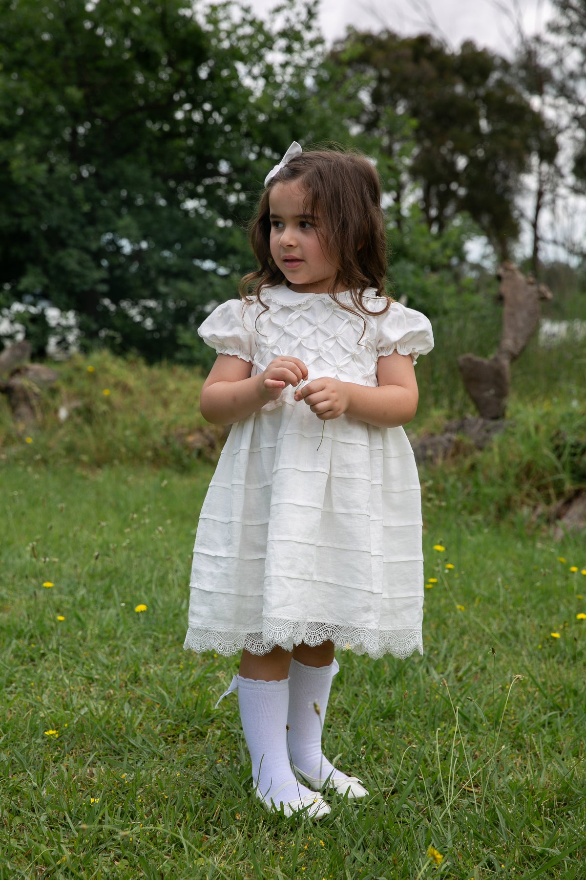 The Paris Dress