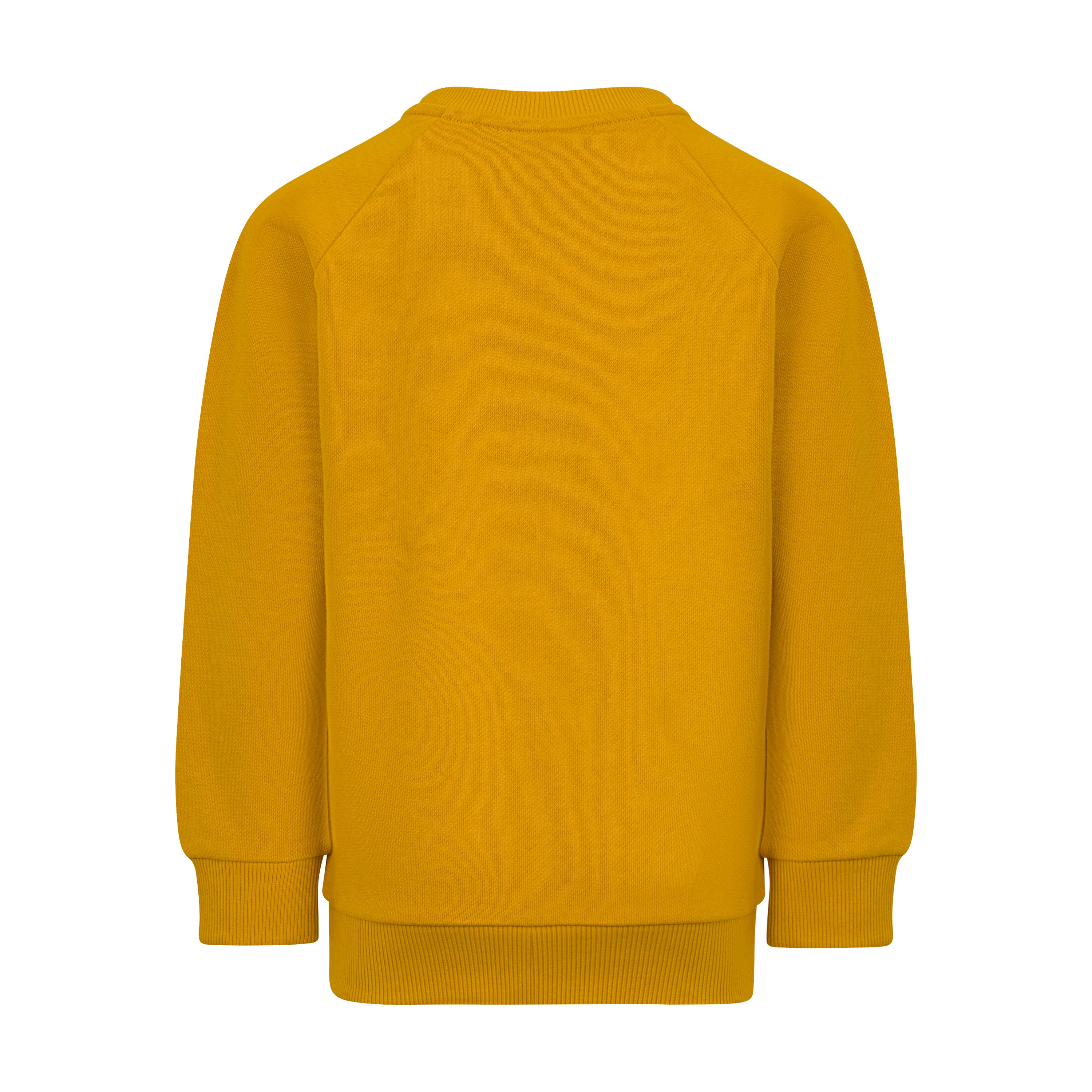 Balmain Sweatshirt Balmain