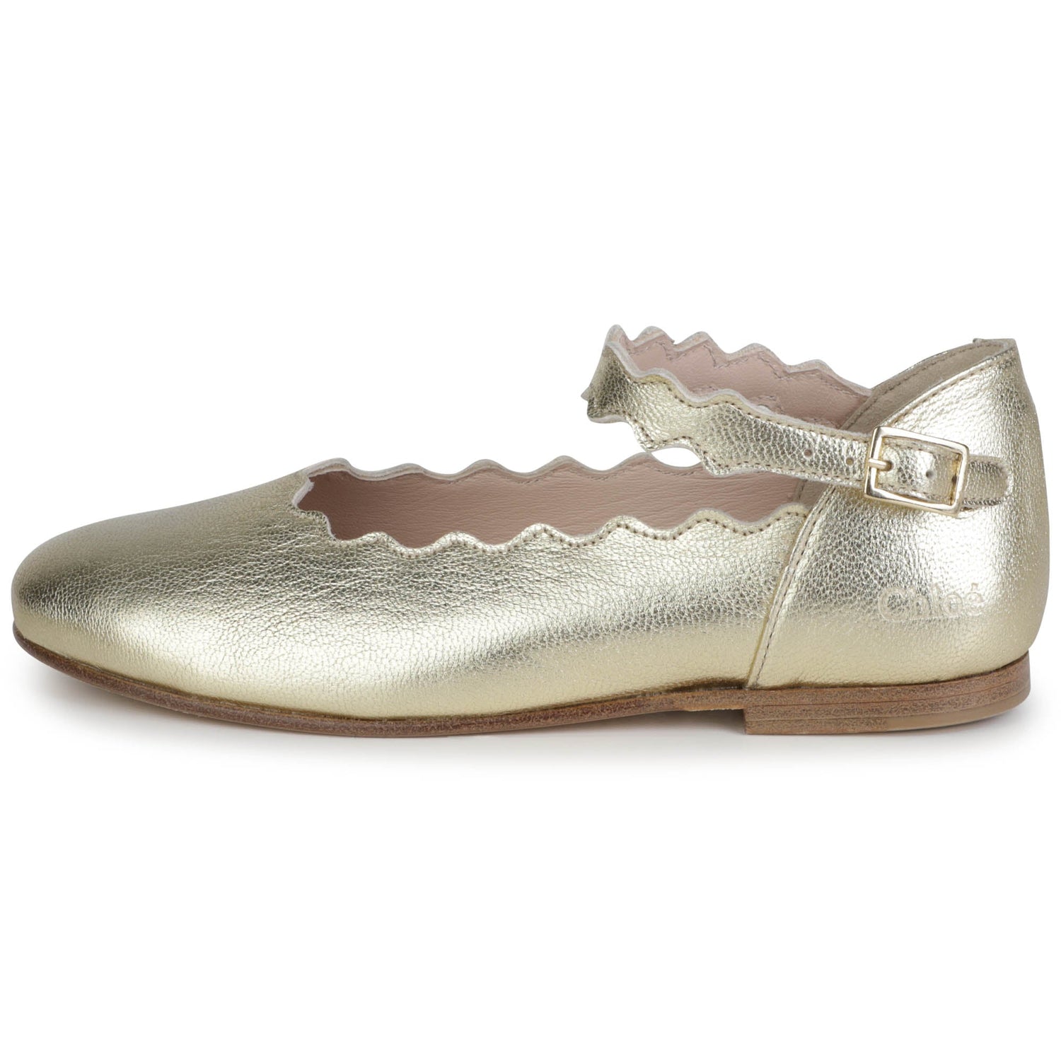 Ballerina Shoes Chloe