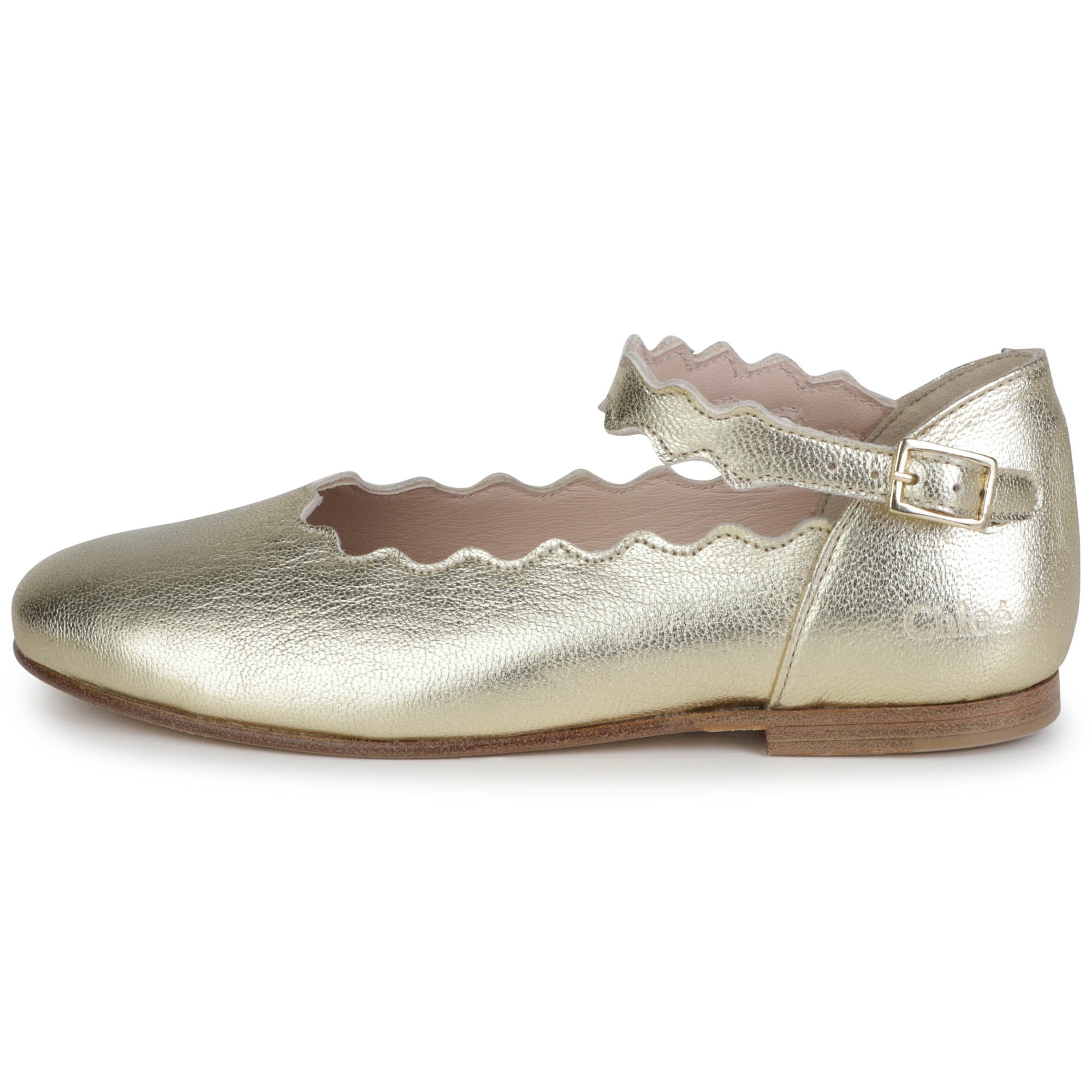 Ballerina Shoes Chloe