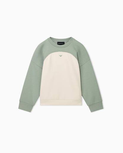 Emporio Armani Sweatshirt - U9019 Iceberg Green