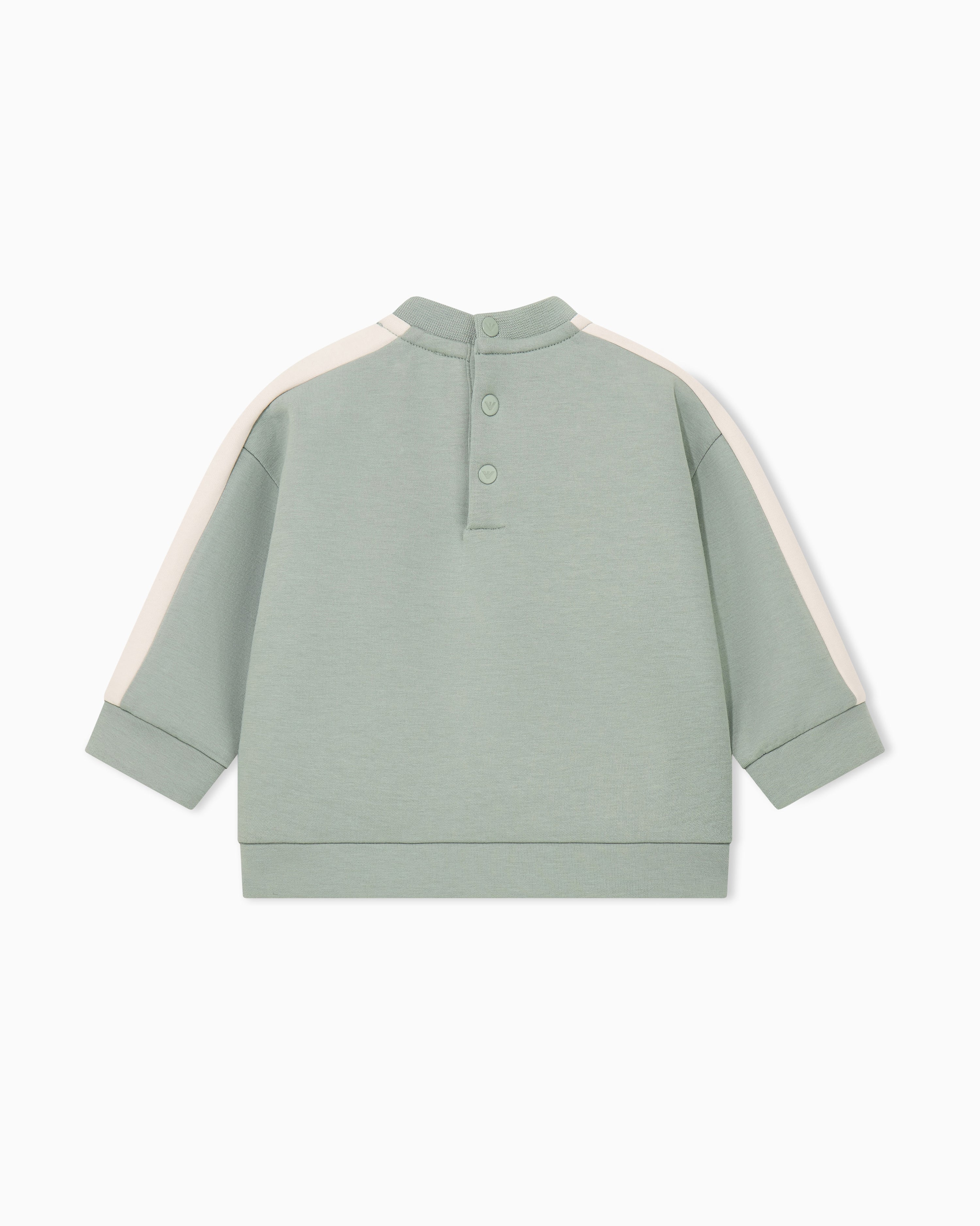 Emporio Armani Sweatshirt - U9019 Iceberg Green