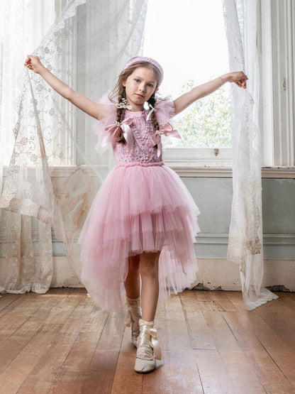 Ballroom Bliss Tutu Dress Tutu Du Monde