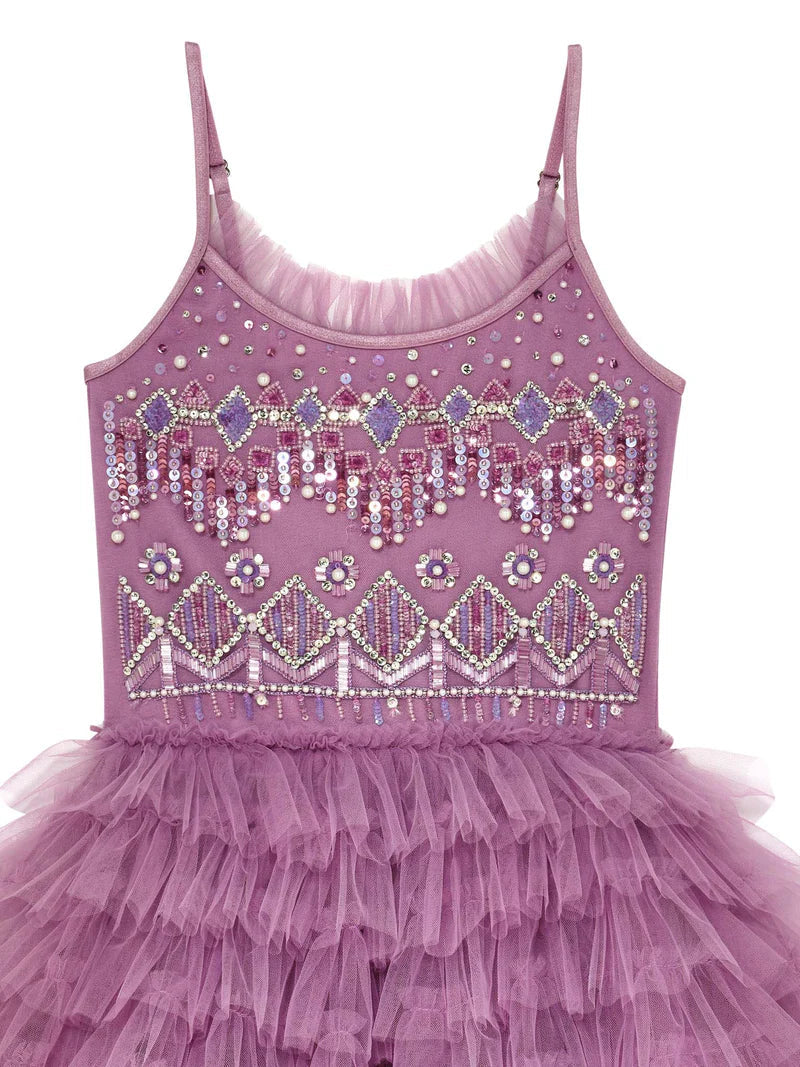 Velvet Vision Tutu Dress Tutu Du Monde